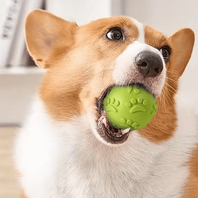 Balle pour Chien - DogChewToys™ - Jaune - Reve de chienlecoledeschats14:366yellowJauneBalle pour Chien - DogChewToys™ - Jaune