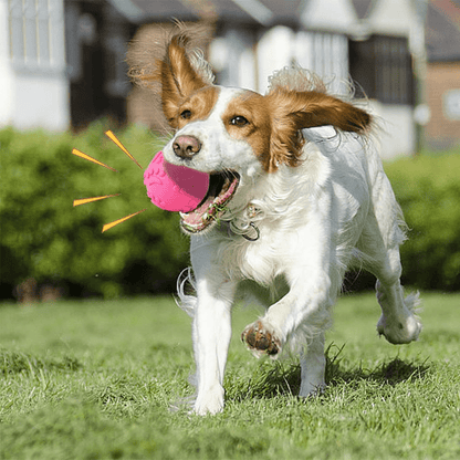 Balle pour Chien - DogChewToys™ - Rose - Reve de chienlecoledeschats14:1052pinkRoseBalle pour Chien - DogChewToys™ - Rose