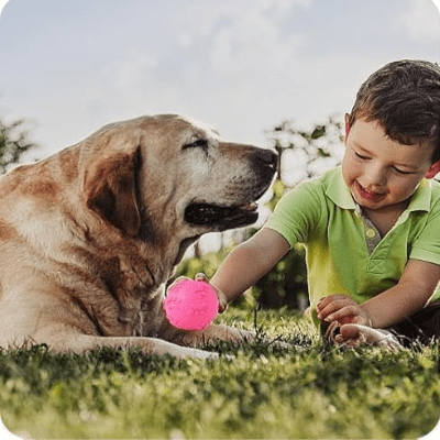 Balle pour Chien - DogChewToys™ - Rose - Reve de chienlecoledeschats14:1052pinkRoseBalle pour Chien - DogChewToys™ - Rose