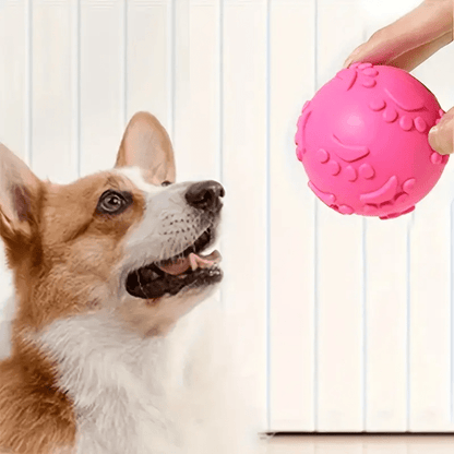 Balle pour Chien - DogChewToys™ - Rose - Reve de chienlecoledeschats14:1052pinkRoseBalle pour Chien - DogChewToys™ - Rose