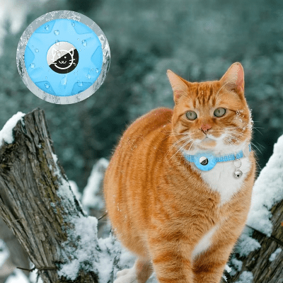 Collier Airtag Chat - CatAirTagCollar™ - Bleu