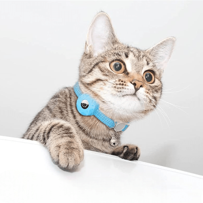 Collier Airtag Chat - CatAirTagCollar™ - Bleu