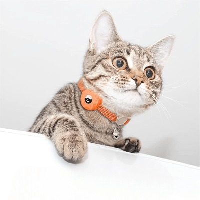 Collier Airtag Chat - CatAirTagCollar™ - Orange