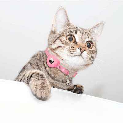 Collier Airtag Chat - CatAirTagCollar™ - Rose