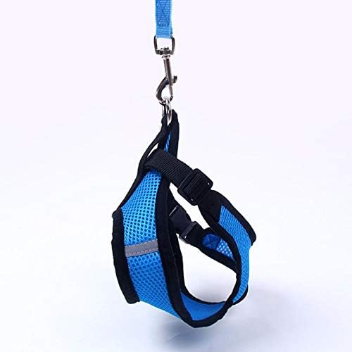 Harnais Petit Chien - DogHarnessLeadLeash™ - Bleu - Reve de chienlecoledeschats14:173;5:361386BleuMHarnais Petit Chien - DogHarnessLeadLeash™ - Bleu