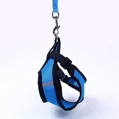 Harnais Petit Chien - DogHarnessLeadLeash™ - Bleu - Reve de chienlecoledeschats14:173;5:361386BleuMHarnais Petit Chien - DogHarnessLeadLeash™ - Bleu