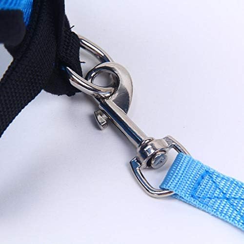 Harnais Petit Chien - DogHarnessLeadLeash™ - Bleu - Reve de chienlecoledeschats14:173;5:361386BleuMHarnais Petit Chien - DogHarnessLeadLeash™ - Bleu