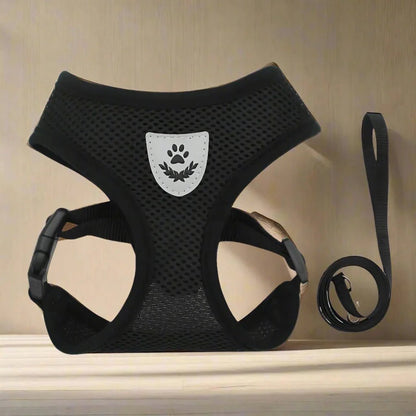 Harnais Petit Chien - DogHarnessLeadLeash™ - Noir - Reve de chienlecoledeschats14:193;5:361386NoirMHarnais Petit Chien - DogHarnessLeadLeash™ - Noir