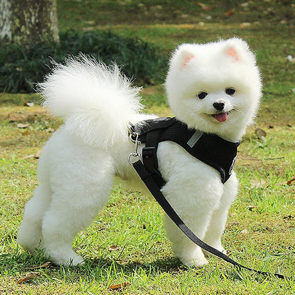 Harnais Petit Chien - DogHarnessLeadLeash™ - Noir - Reve de chienlecoledeschats14:193;5:361386NoirMHarnais Petit Chien - DogHarnessLeadLeash™ - Noir