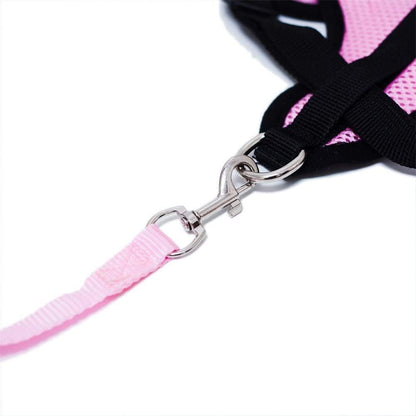 Harnais Petit Chien - DogHarnessLeadLeash™ - Rose - Reve de chienlecoledeschats14:1052;5:361386RoseMHarnais Petit Chien - DogHarnessLeadLeash™ - Rose