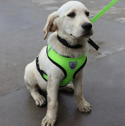 Harnais Petit Chien - DogHarnessLeadLeash™ - Vert - Reve de chienlecoledeschats14:175;5:361386VertMHarnais Petit Chien - DogHarnessLeadLeash™ - Vert