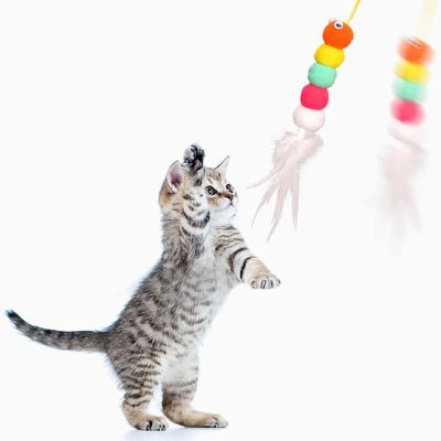 Jouet Chat Interactif - JumpPaw™ - Plume